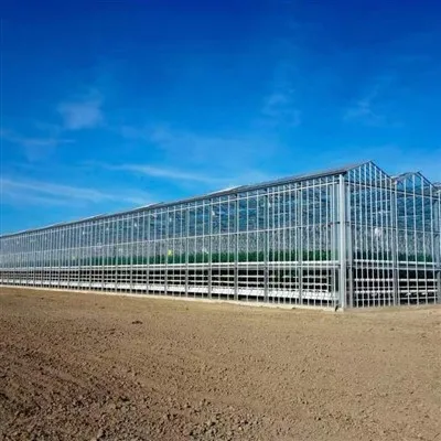 Nizozemski rastlinjak