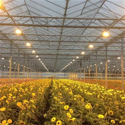 Stekleni rastlinjak s sončno ploščo