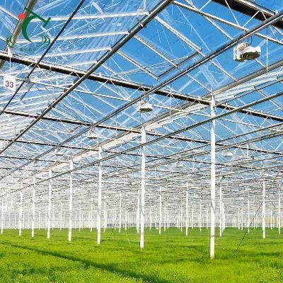 China Venlo Glass Greenhouse For Uzbekistan