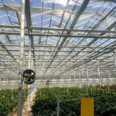 Glass Hydroponics Greenhouse