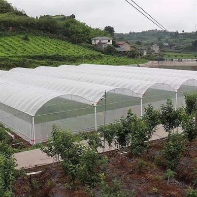 Large Film Greenhouse4
