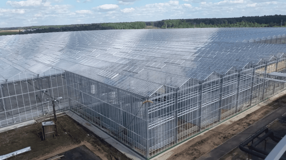 Glass Commercial Greenhouse Glass Commercial Greenhouse